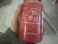 -野萃山·潮汕厚果汁(十亩地店)