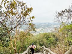 -梧桐山风景名胜区