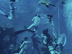 -苏州海洋馆