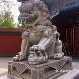 中国传统文化中,以九来表示极多