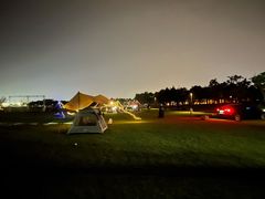 -春花秋色城市公园