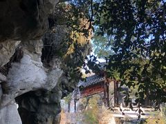 -扬州大运河文化旅游度假区·盆景园