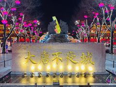 -大唐不夜城