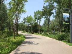 -东郊湿地公园