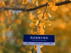 -南海子公园