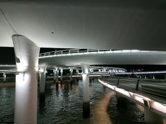 -演武大桥观景平台