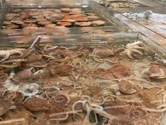 -浩运·海鲜青岛菜·海胆水饺(石老人店)