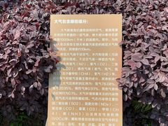 -白鹭湾湿地公园