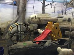 -梦幻海洋王国(吾悦广场张家港店)