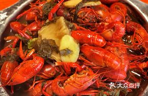 Snow Cabbage Lobster