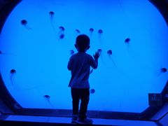 -沈阳海洋探索中心