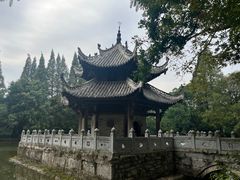 -习家池
