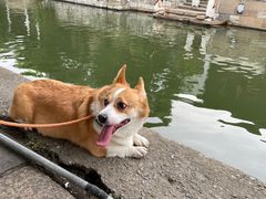 -浔蹄(南浔总店)