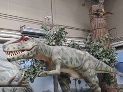 -国家自然博物馆