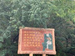 -金龙寺国家森林公园