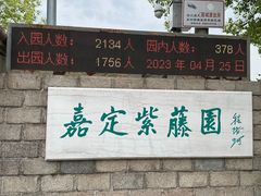 -嘉定紫藤园