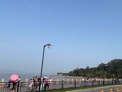 -野狸岛