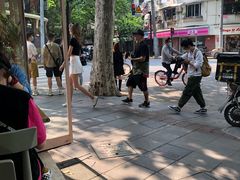 -WHEN PIGS FLY当猪飞