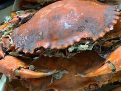 -蚝乡农庄(铁涌赤岸店)