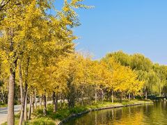-石家庄市植物园