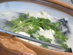 -宝荣鱼馆·临湖之宴(千岛湖店)