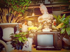 -胡桃里音乐酒馆(四道口店)