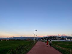 -黄海国家森林公园