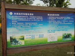 -上海长兴岛郊野公园