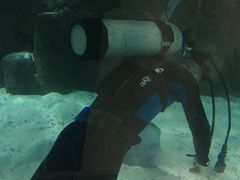 -苏州海洋馆