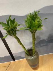 -宥莉·ULLY 痘敏肌•科技皮肤管理中心