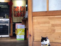 -猫爷的腔调·黔小馆(交大医学住宅区店)