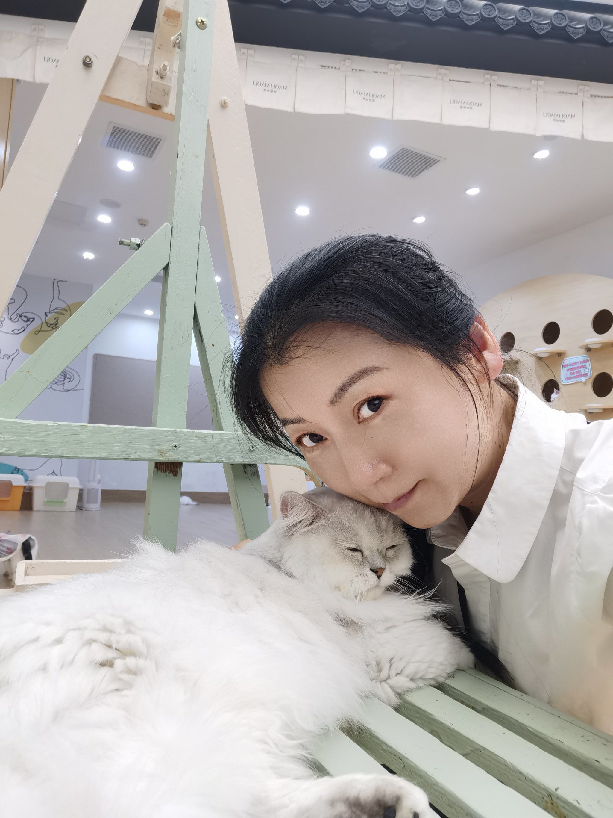 何以解忧,唯有吸猫