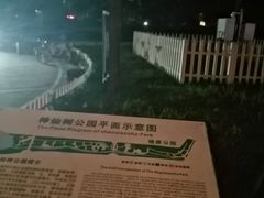 -神仙树公园