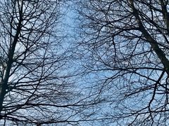 -番禺大夫山森林公园