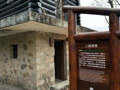 -华侨城湿地公园