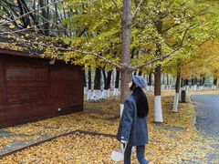 -长白岛森林公园