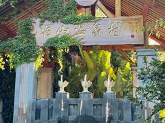 -腾冲洞山温泉村