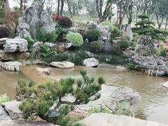 -东莞植物园