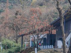 -里口山风景名胜区
