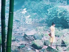 -川西竹海景区