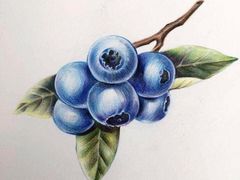 -火星时代教育(成都校区)