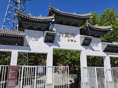 -六里坪国家森林公园