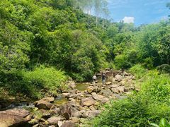 -广州白江湖森林公园