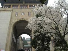 -武汉大学-樱园