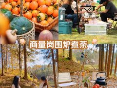 -四明山国家森林公园