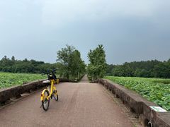 -白鹭湾湿地公园