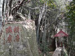 -莫干山风景区