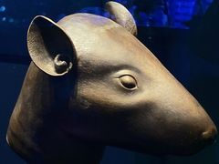 -广西壮族自治区博物馆