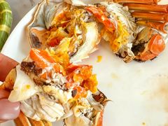 -蟹天蟹地农家菜·阳澄湖大闸蟹(浅水湾店)