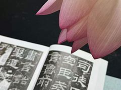 -外滩8号 whisky bar(金延大厦店)